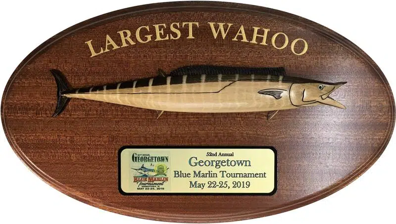 Wahoo Trophy CC02